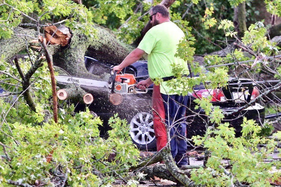 Tree down on Hohman Avenue